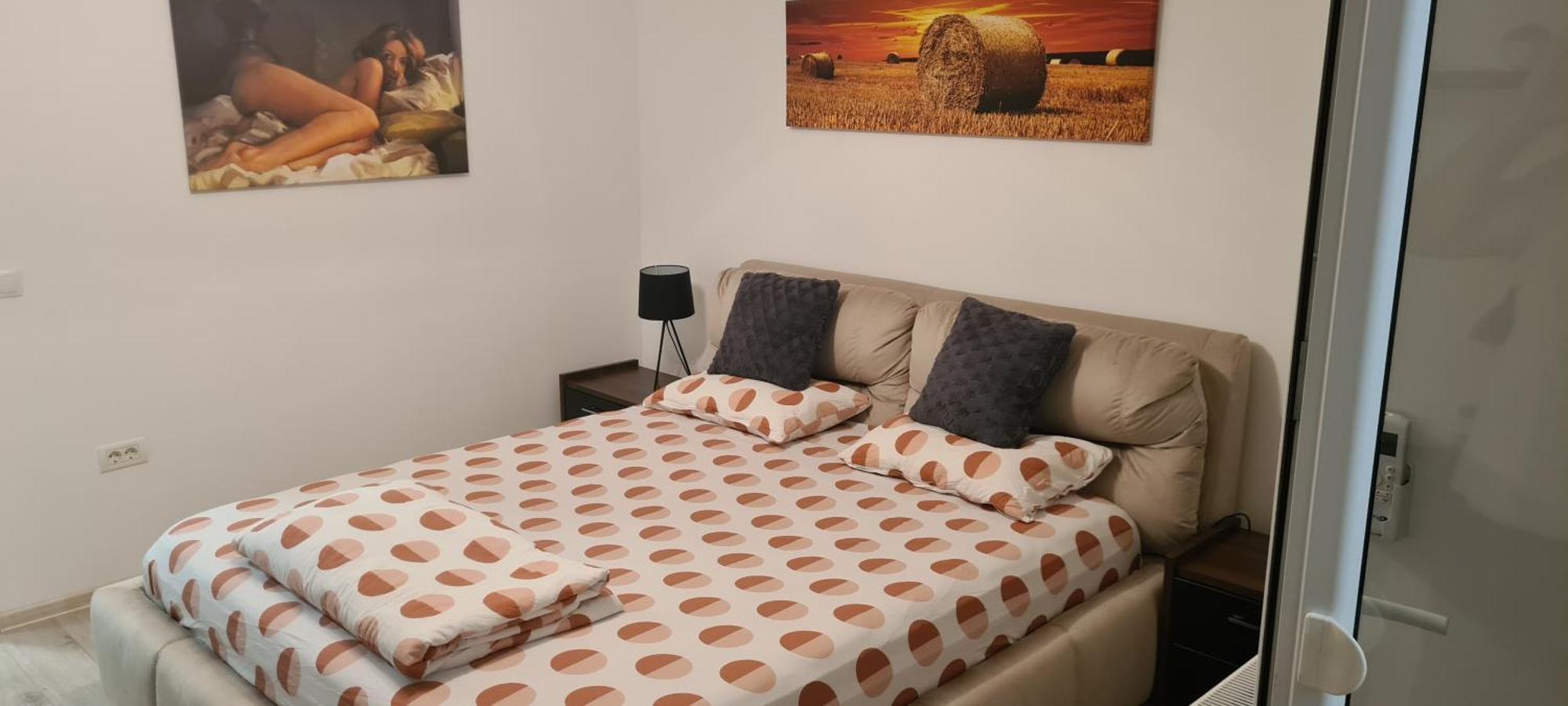 Appartamento Cu 1 Spatios ,luminos .